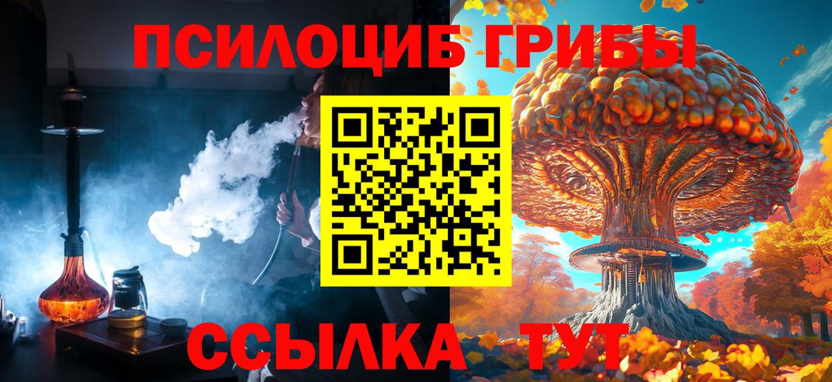 закладки  Галлюциногенные грибы мицелий  Вход с VPN  Нижнекамск 