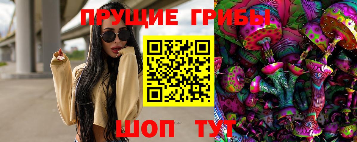 Псилоцибиновые грибы Cubensis Нижнекамск